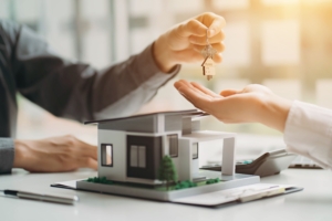 Immobilienrecht - Kaufverträge prüfen
